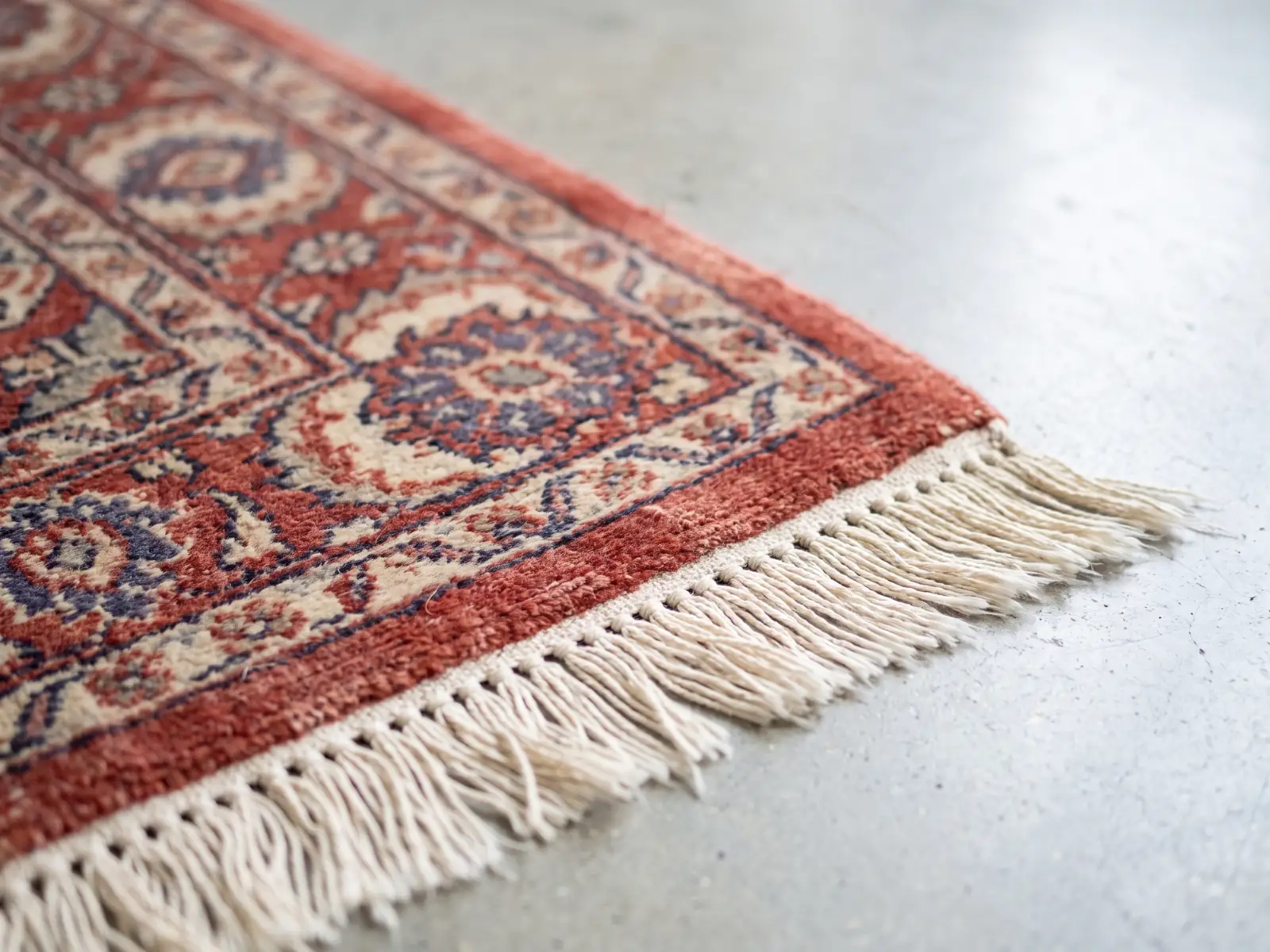 Tapis en laine séchant à plat sur des claies, en salle ventilée